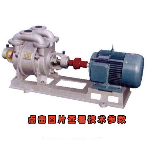 SK水環(huán)真空泵