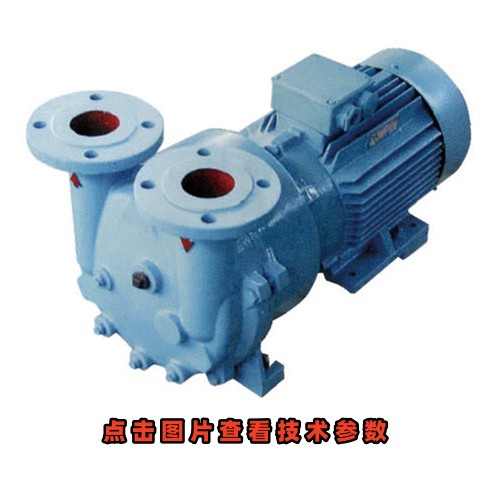 2BV-2071普型水環(huán)真空泵