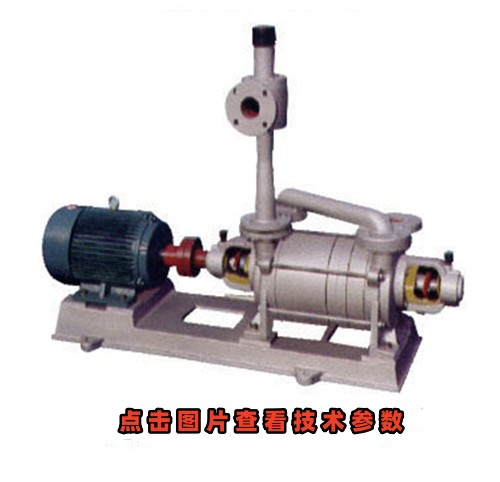 2SK-P1水環(huán)真空泵